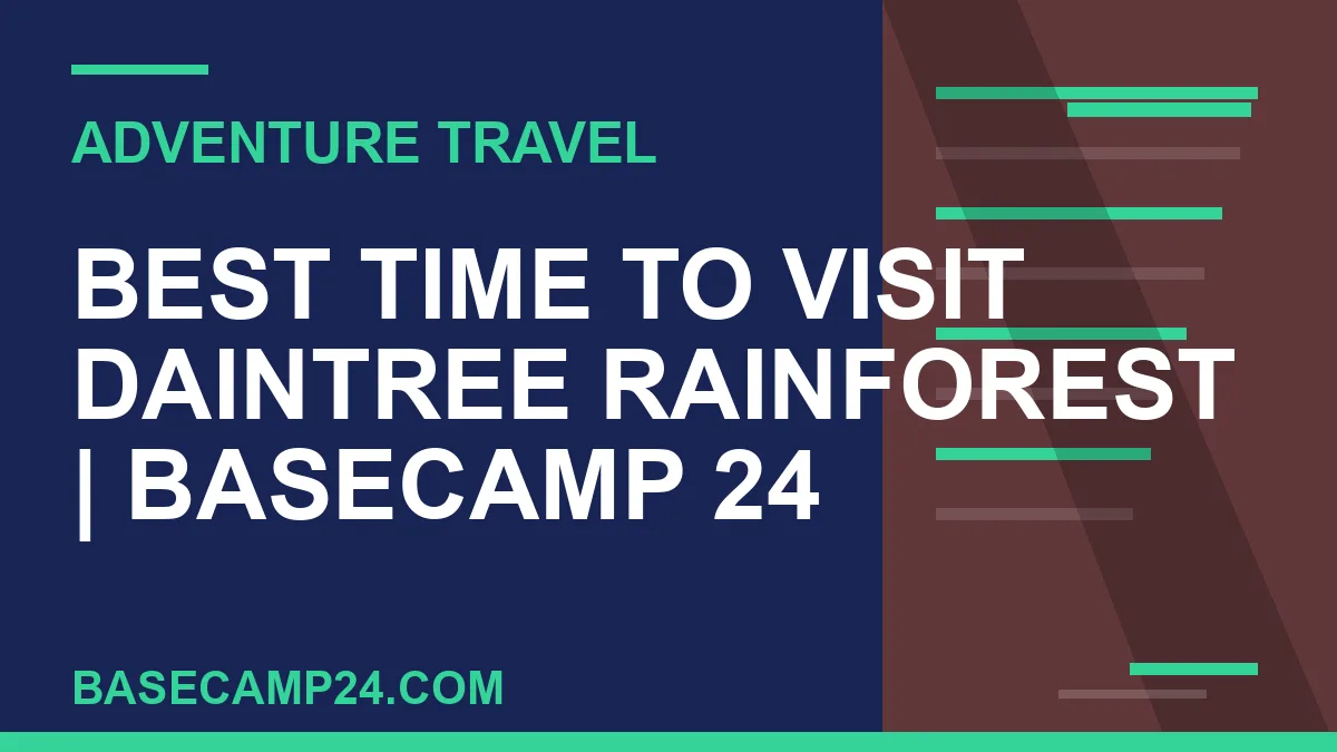 Best Time to Visit Daintree Rainforest