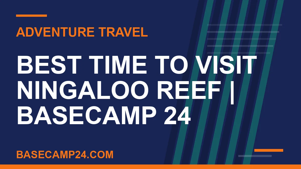 Best Time to Visit Ningaloo Reef